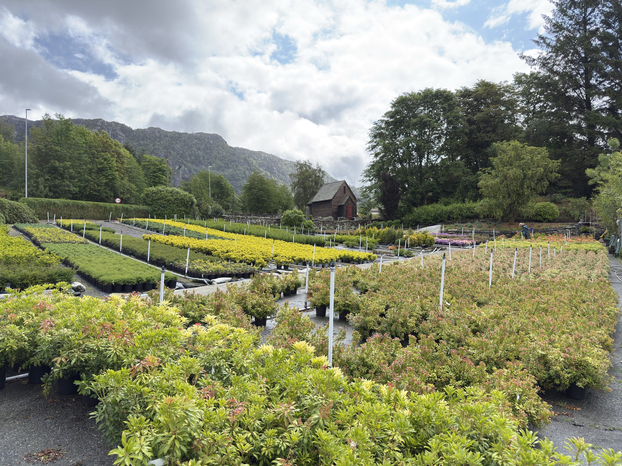 Sunnhordland Planteskule omgivelser